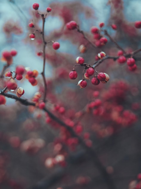 Sermons That Transform Lives Sermons That Transform Lives